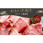 おおいた和牛 牛ロース焼肉用 500g