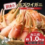 訳あり ズワイガニ 爪 1kg
