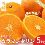 秀品 カラマンダリン なつみ 和歌山 有田 S~2Lサイズ