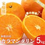 訳あり カラマンダリン なつみ 和歌山 有田