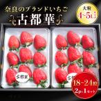 いちご 古都華 2P