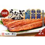 うなぎ 訳あり 不揃い 3度受賞 蒲焼き 2尾