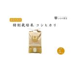 内容量 令和7年度産 里山のつぶ 精米 5kg