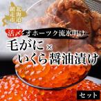 毛ガニ オホーツク流氷明けの活〆毛がにといくら醤油漬けセ…