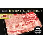豚肉セット しゃぶしゃぶ用 焼肉用 飯田プレミアムポーク