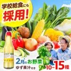 高槻野菜詰め合わせ 2月 10 15種