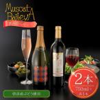 ワイン 飲み比べセット 赤 スパークリング
