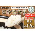 お好みに合わせて精米 令和6年産 コシヒカリ