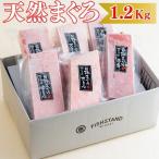 天然 目鉢まぐろ 1.2kg