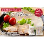 ふるさと納税 訳あり 無塩せきロースハムと塩糀ベーコンの詰め合わせセット 訳あり OR FN-SupportProject OR 増量 OR 年末企画 訳あり OR FN-Sup.. 新潟県加茂市