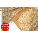 令和7年産 玄米 10kg×12ヶ月お届け