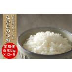 令和7年産 白米 5kg×12ヶ月お届け