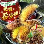 ほくほくと甘い熟成した夢甘栗 高級生栗 約1kg
