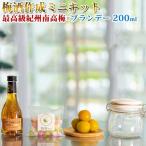 お酒 梅酒作成ミニキット バーボンベース