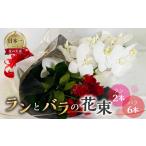 ランとバラの花束 ラン2本 バラ 6本