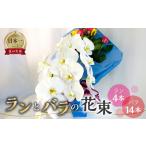 ランとバラの花束 ラン4本 バラ 14本
