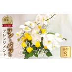 器に盛ったランとバラのアレンジ 花 薔薇