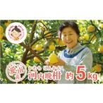 あいなんマザーズの河内晩柑 5kg