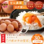 テトラエッグ特選卵 バボルナの宝石 30個