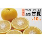 甘夏 10kg