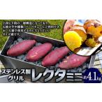 レクタ ミニ