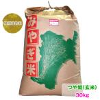 令和5年産 特別栽培米玄米 つや姫30kg