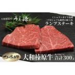 冷凍 大和榛原牛 稀少部位 もも ランプ ステーキ 150g×2枚