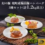 K2319 梅山豚のハンバーグ 3種セット
