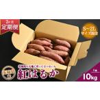 生芋 10kg