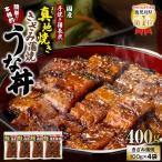 1716-2 大 鯉家の絶品蒲焼で作る うな飯の素 4袋