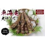 令和8年熊本地震復興支援 特殊冷凍 車海老 250g×2パック
