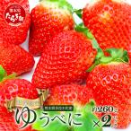 ゆうべに 約260g×2パック