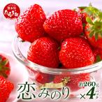 産いちご 恋みのり 約260g×4パック