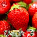 いちご ひのしずく 約260g×4パック103-0006
