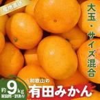 有田みかん 和歌山 訳あり わけあり 大玉 2L