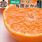 熟成有田みかん 5kg+250g
