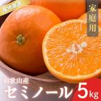 訳あり セミノール 和歌山 有田 S~4Lサイズ混合 5kg