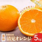 秀品 きよみ 清見オレンジ 和歌山 有田 S~2Lサイズ