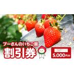 プーさんのいちご園 割引券 5,000円分