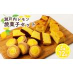 瀬戸内 レモン 焼菓子 セット 2 お菓子