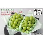 ふるさと納税 ぶどう 2026年 先行予約 【平均糖度20度】 農家こだわりの シャイン マスカット 2房 合計約1.0kg 贈答クラス ブドウ 葡萄 岡山県産.. 岡山県玉野市