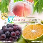 夏のフルーツ定期便 桃 ピオーネ 極早生みかん