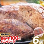 あか牛 100% ハンバーグ 合計約720g 約120g×6個