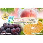 定期便 夏のフルーツ定期便 桃 ピオーネ 極早生みかん