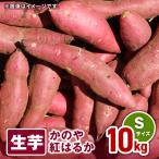 1676 かのや紅はるか 生芋 Lサイズ 10kg