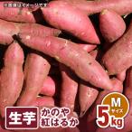 1673 かのや紅はるか 生芋 Mサイズ 5kg