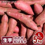 1675 かのや紅はるか 生芋 Lサイズ 5kg