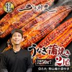945-3 昭和56年創業 うなぎの川豊