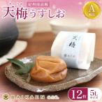 紀州南高梅 天梅 そらうめ うすしお 12粒