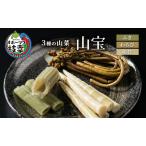 fu.... налог 3 вид. дикоросы [ гора .]..*...*. бамбук [ ветка . производство овощи дикоросы Hokkaido o сигнал tsuk ветка .] Hokkaido ветка . блок 